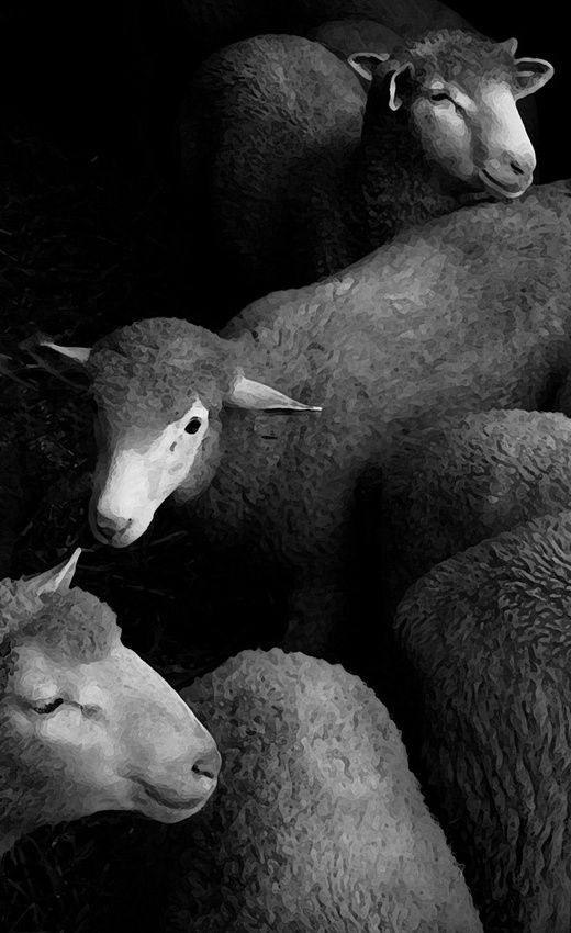 98e9656a5920fccf67da594ea03f0c1f